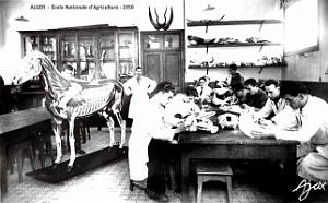 Alger - Ecole Nationale d'Agriculture - 1950